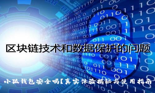 小狐錢包安全嗎？真實體驗揭秘與使用指南
