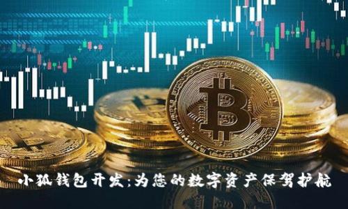 小狐錢包開發(fā)：為您的數(shù)字資產(chǎn)保駕護航
