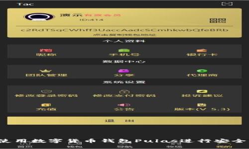如何使用數(shù)字貨幣錢包Pulas進(jìn)行安全交易？