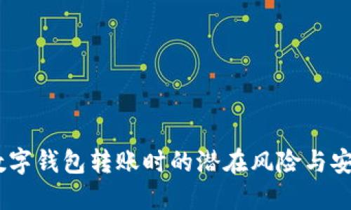 小心！數(shù)字錢包轉(zhuǎn)賬時的潛在風(fēng)險與安全措施
