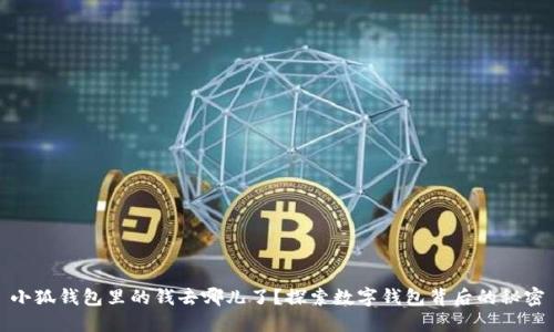 小狐錢包里的錢去哪兒了？探索數(shù)字錢包背后的秘密