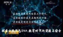 探索小狐錢包RNA：數字時
