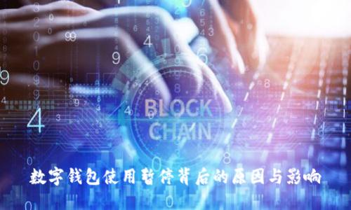 數(shù)字錢包使用暫停背后的原因與影響