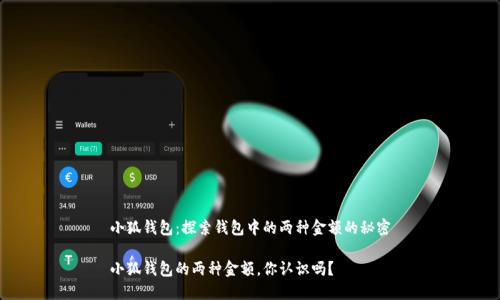 小狐錢包：探索錢包中的兩種金額的秘密

小狐錢包的兩種金額，你認識嗎？