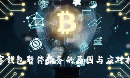 數(shù)字錢包暫停服務(wù)的原因與應(yīng)對措施