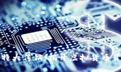 數(shù)字錢包特大傳銷：揭開(kāi)虛擬貨幣背后的陰影