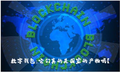 數(shù)字錢包：它們真的是國家的產(chǎn)物嗎？