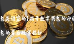 小狐錢包是誰家的？揭開