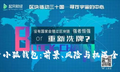 投資小狐錢包：前景、風(fēng)險(xiǎn)與機(jī)遇全解析