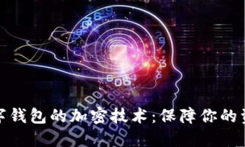 揭秘?cái)?shù)字錢包的加密技術(shù)：保障你的資產(chǎn)安全