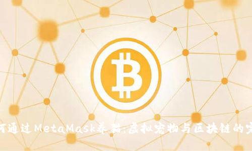 教你如何通過MetaMask養(yǎng)貓：虛擬寵物與區(qū)塊鏈的完美結合