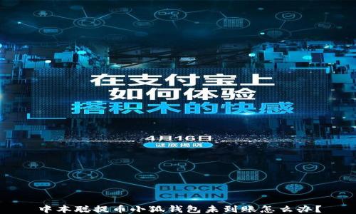 
中本聰提幣小狐錢包未到賬怎么辦？