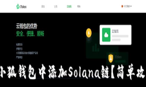   
如何在小狐錢包中添加Solana鏈？簡單攻略指南！