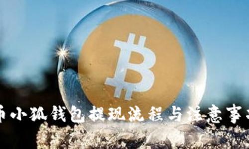 雷達幣小狐錢包提現(xiàn)流程與注意事項詳解
