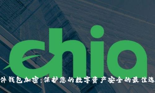 硬件錢包加密：保護(hù)您的數(shù)字資產(chǎn)安全的最佳選擇